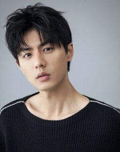 ​跨越光影与时尚的双重视界：中国内地男星刘畅的璀璨轨迹