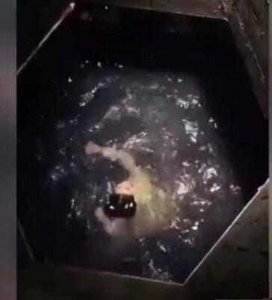 ​王鹤润矿泉水事件(王鹤润140瓶矿泉水)