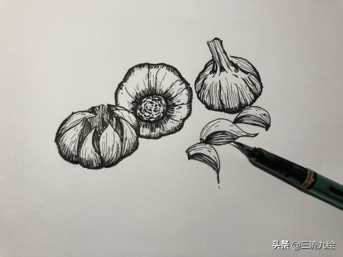 “蒜”你狠:只需三支笔,教你画好一组蒜头简笔画