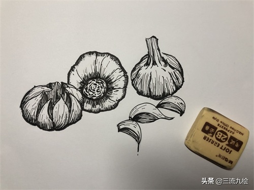 “蒜”你狠:只需三支笔,教你画好一组蒜头简笔画