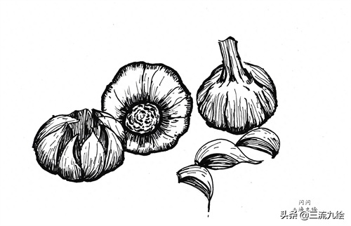 “蒜”你狠:只需三支笔,教你画好一组蒜头简笔画