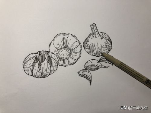 “蒜”你狠:只需三支笔,教你画好一组蒜头简笔画