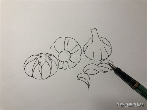 “蒜”你狠:只需三支笔,教你画好一组蒜头简笔画