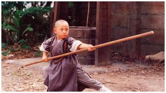 释小龙李连杰合作所有电影（释小龙李连杰的接班人）(4)
