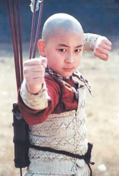 释小龙李连杰合作所有电影（释小龙李连杰的接班人）(9)