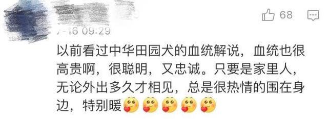 大s为什么吃素（大S多年吃素的原因曝光）