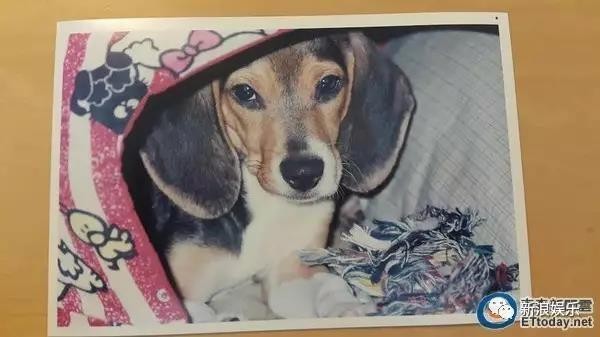 大s为什么吃素（大S多年吃素的原因曝光）