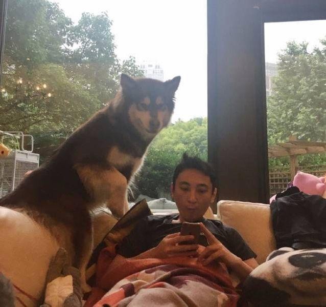 大s为什么吃素（大S多年吃素的原因曝光）