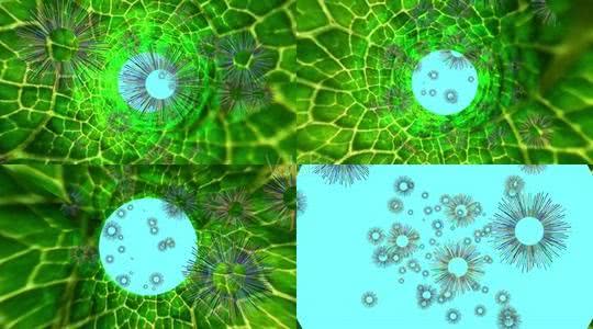 植物是生物吗（1分钟带你了解关于植物的知识）