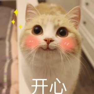 ​电竞圈饭圈本质无差别?电竞刷屏电竞剧难出圈,不想被圈却处处是圈
