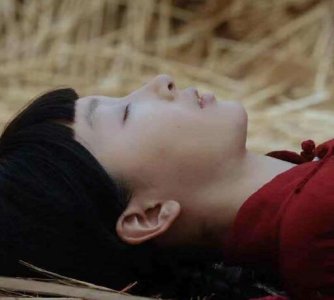 ​新世界贾小朵谁害的金海是杀死贾小朵的真凶吗