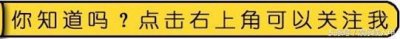 ​《你好旧时光》奔奔远走流浪，替去世的米乔寻找彩虹的尽头