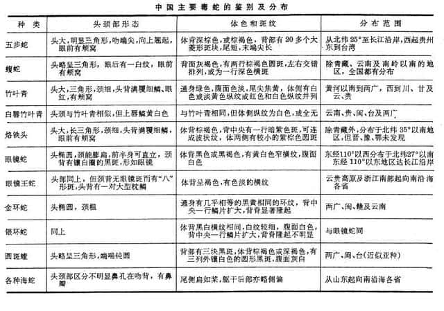 最大的蛇怕什么（中国出现过最大的蛇）