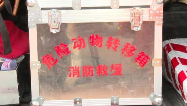 最大的蛇怕什么（中国出现过最大的蛇）