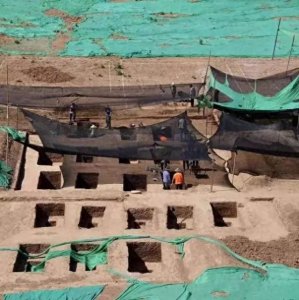 ​发现95座古墓后，清华大学的地位一落千丈