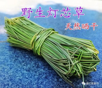 故乡的回忆——灯草