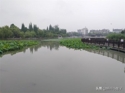 我是特务,代号037号,是真的
