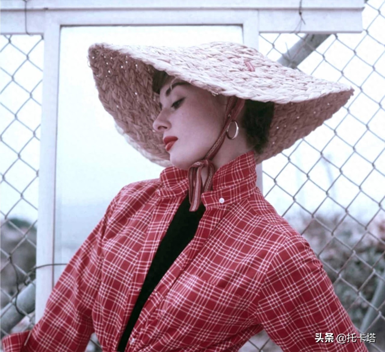奥黛丽·赫本