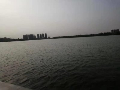 ​平原新区，入住可以吗，你怎么看