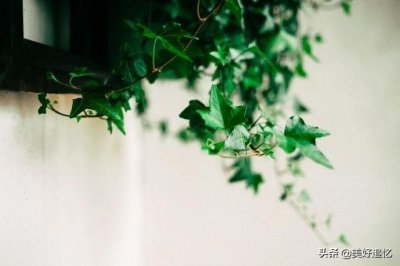 ​天秤座放弃一个人的表现