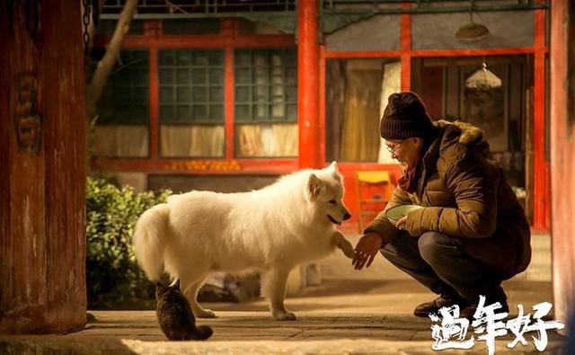 赵本山主演的电影大全集（赵本山携一大票明星主演贺岁电影过年好）(4)