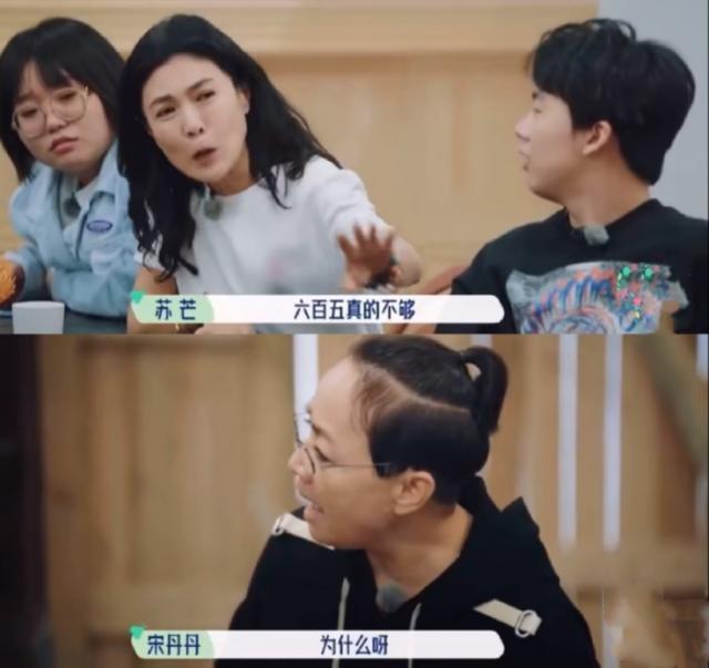 苏芒是谁(一天650的生活费还不够,苏芒她到底是何许人也?)