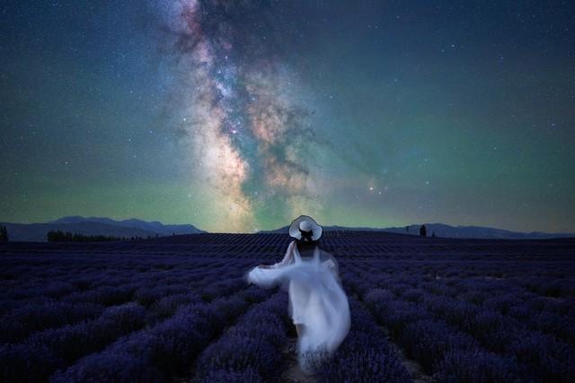 照相机的iso什么意思(相机iso是什么意思)(图1) 照相机的iso什么意思(相机iso是什么意思)(图1)