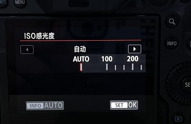 照相机的iso什么意思(相机iso是什么意思)(图8) 照相机的iso什么意思(相机iso是什么意思)(图8)