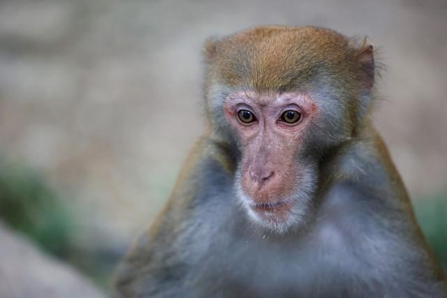 照相机的iso什么意思(相机iso是什么意思)(图7) 照相机的iso什么意思(相机iso是什么意思)(图7)