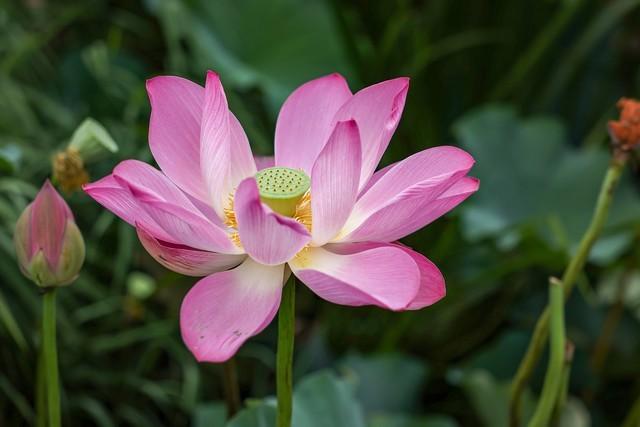 照相机的iso什么意思(相机iso是什么意思)(图6) 照相机的iso什么意思(相机iso是什么意思)(图6)