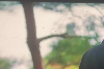 ​春情之乱结局解析