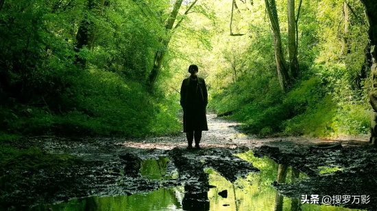 有哪些经典恐怖片值得看(盘点2025年最值得一看的6部恐怖片)