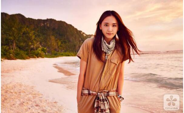 新垣结衣为什么是国民老婆(新垣结衣为什么结婚) 新垣结衣为什么是国民老婆(新垣结衣为什么结婚)