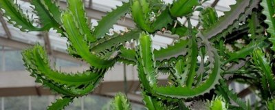 ​量天尺的寓意是什么