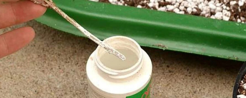 生根粉浇多了会烧根吗(图1)