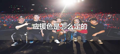 ​应援色是怎么定的（应援色怎么确定的）