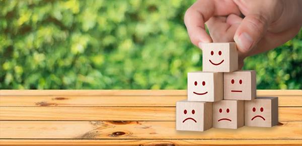 蓝颜知己是什么意思