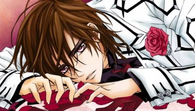 ​吸血鬼骑士漫画结局（吸血鬼骑士动漫不再更新）