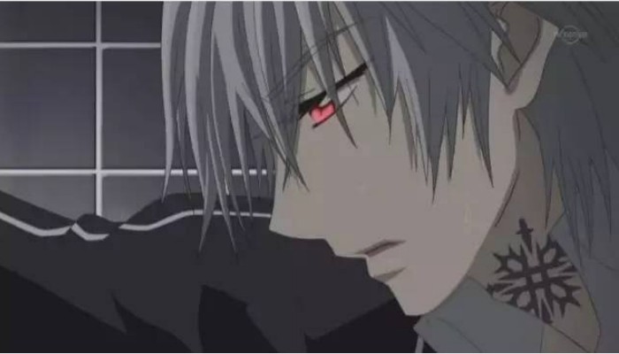 吸血鬼骑士漫画结局(吸血鬼骑士动漫不再更新)