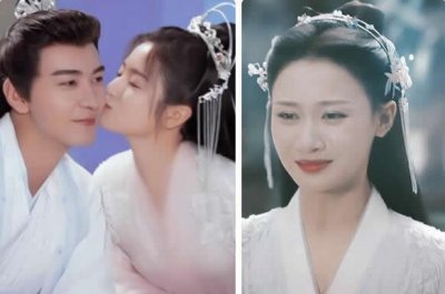 ​星落凝成糖小说结局少典有琴和夜昙圆房吗 夜昙和青葵的真身是什么