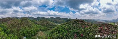 ​你知道世界上第一部环境保护法吗？