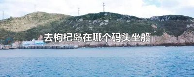 ​自驾到枸杞岛在哪上船 沈家湾码头坐船到枸杞岛要多久