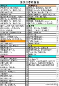 ​美国留学必备的物品清单（美国留学生生存指南之携带物品清单）