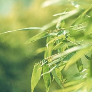 ​晋江安海景点有哪些地方玩 嗨玩安海晋江市