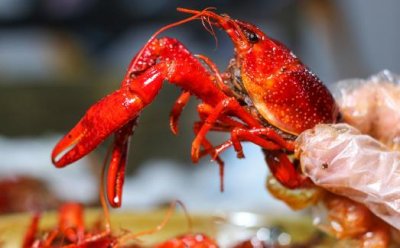 ​两种小龙虾的烹饪方法 吃小龙虾的八个注意事项