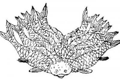 ​《山海经》探秘系列一一何罗鱼