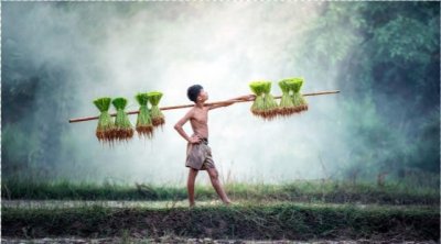 ​适合一个人看的电影