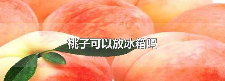 桃子要放冰箱保存吗