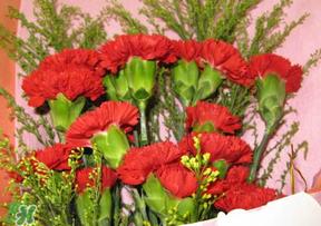 母亲节要不要给男朋友妈妈买礼物?母亲节送男友妈妈礼物 母亲节要不要给男朋友妈妈买礼物?母亲节送男友妈妈礼物