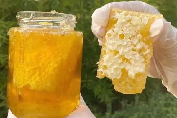 蜂巢蜜是新巢好还是老巢好 蜂巢蜜是不是特别甜 蜂巢蜜是新巢好还是老巢好 蜂巢蜜是不是特别甜